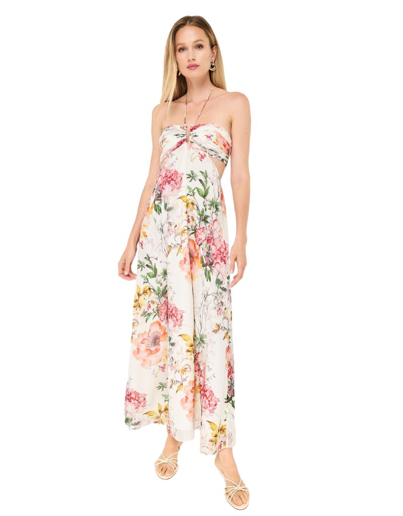Cami NYC Callipe Chiffon Maxi Dress Summer Solstice