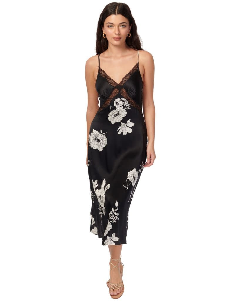 Cami NYC Marilyn Dress Black Botanical