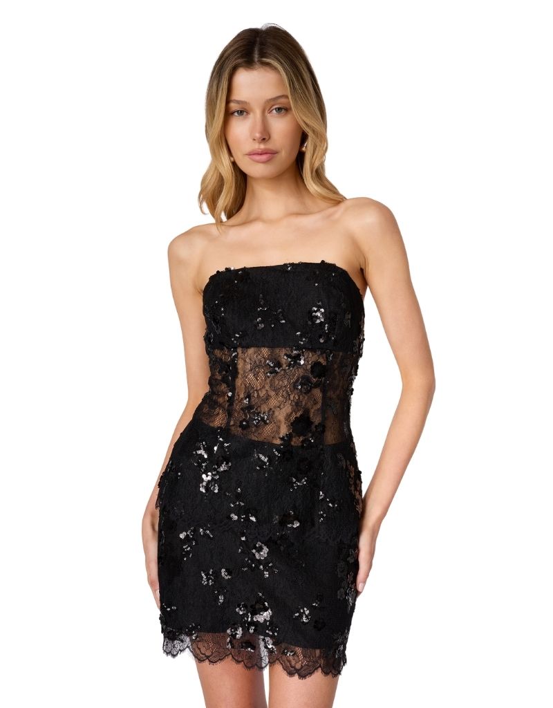 Cami NYC Mercurie Sequined Lace top Black