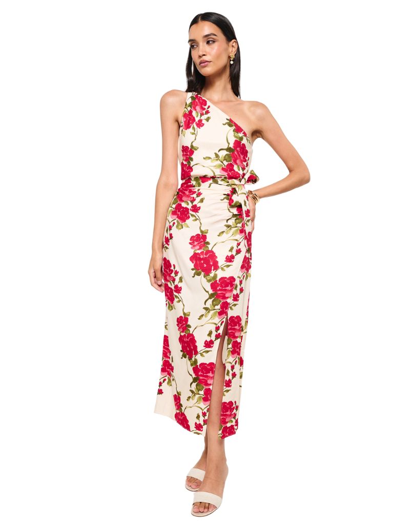Cami NYC Nanu Dress Campari Watercolor