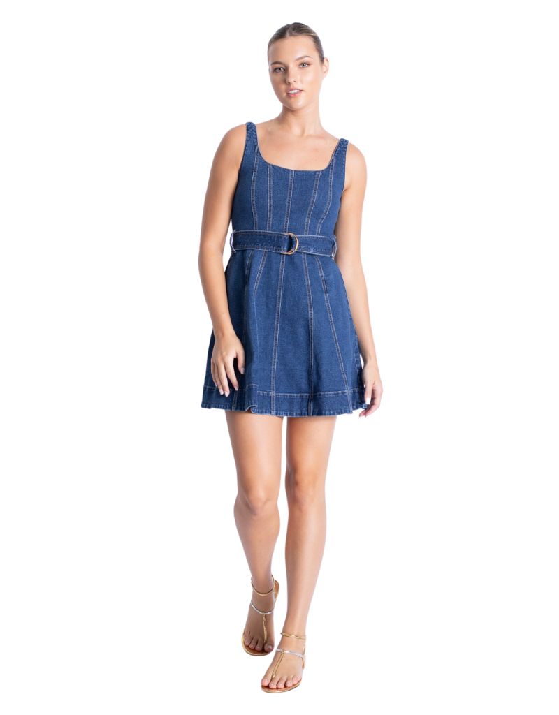 Karina Grimaldi Liliana Denim Mini Dress Washed Denim