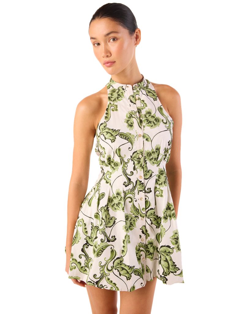 Misa Los Angeles Risha Dress Garden Paisley