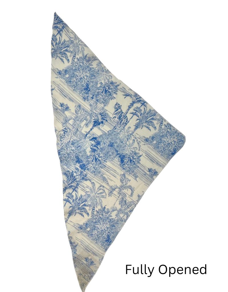 Bandana Sky Toile