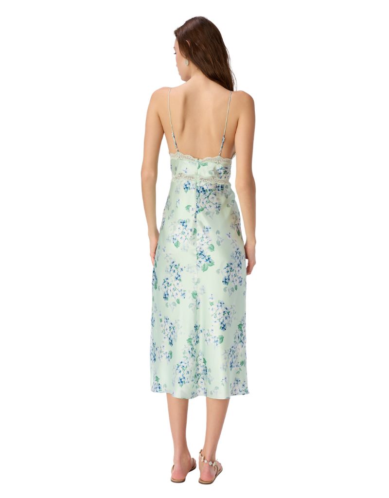 Bibiana Dress Climbing Hydrangea