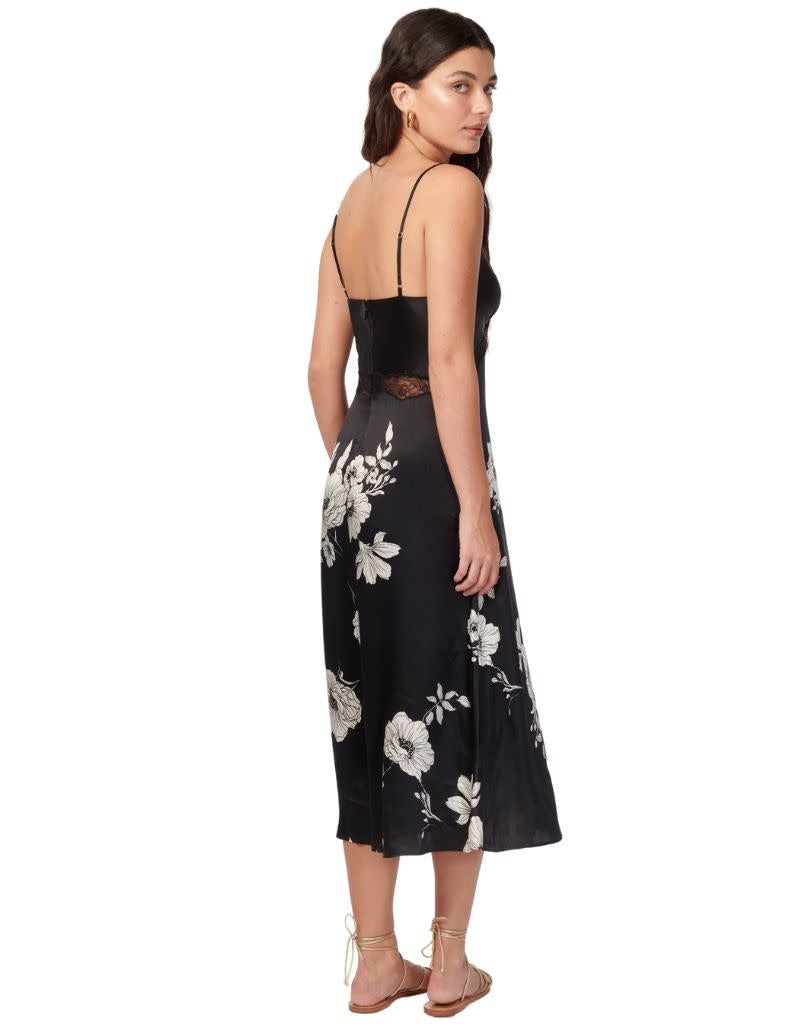 Marilyn Dress Black Botanical
