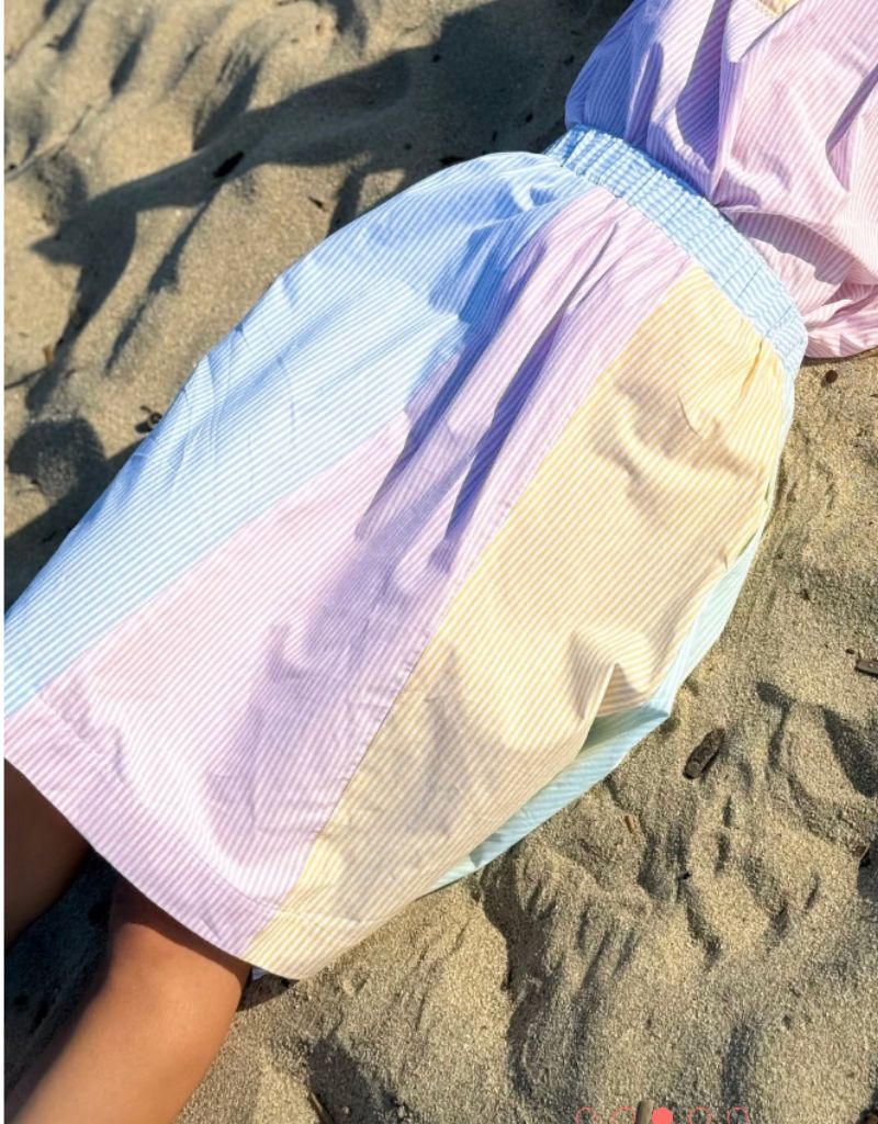 Skirt Rayures Multicolor
