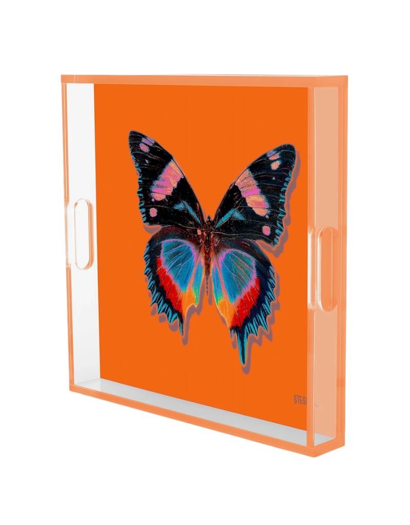 David StesnerArthouse Mandarin Papillon Acrylic Square 14" Tray