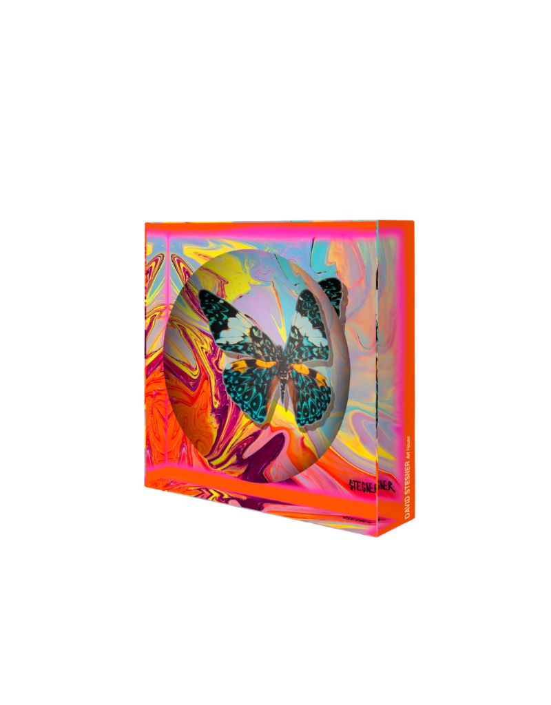 David Stesner Arthouse Coral Currents Acrylic Square Dish