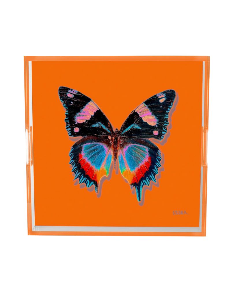 Mandarin Papillon Acrylic Square 14" Tray