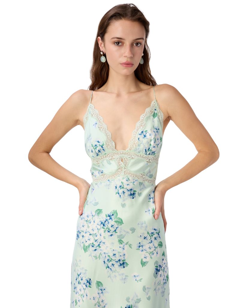 Bibiana Dress Climbing Hydrangea