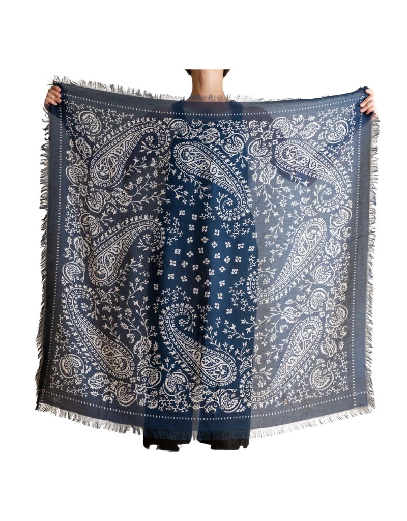 Big Honcho Bandana Paisley in Navy
