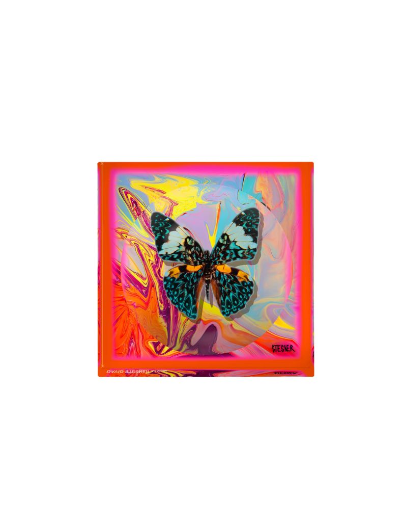 Coral Currents Acrylic Square Dish