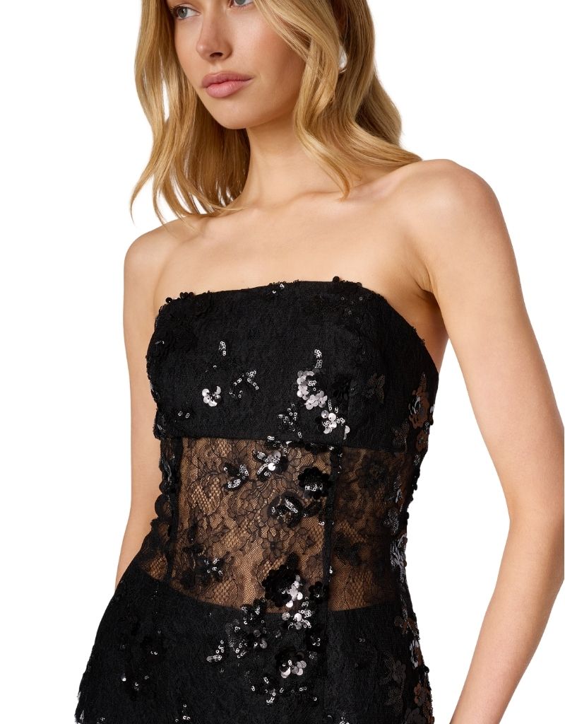 Mercurie Sequined Lace top Black H26